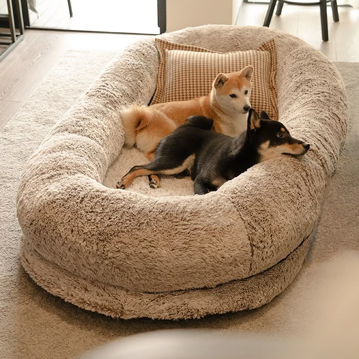 Pets